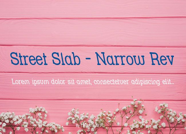 Street Slab - Narrow Rev example